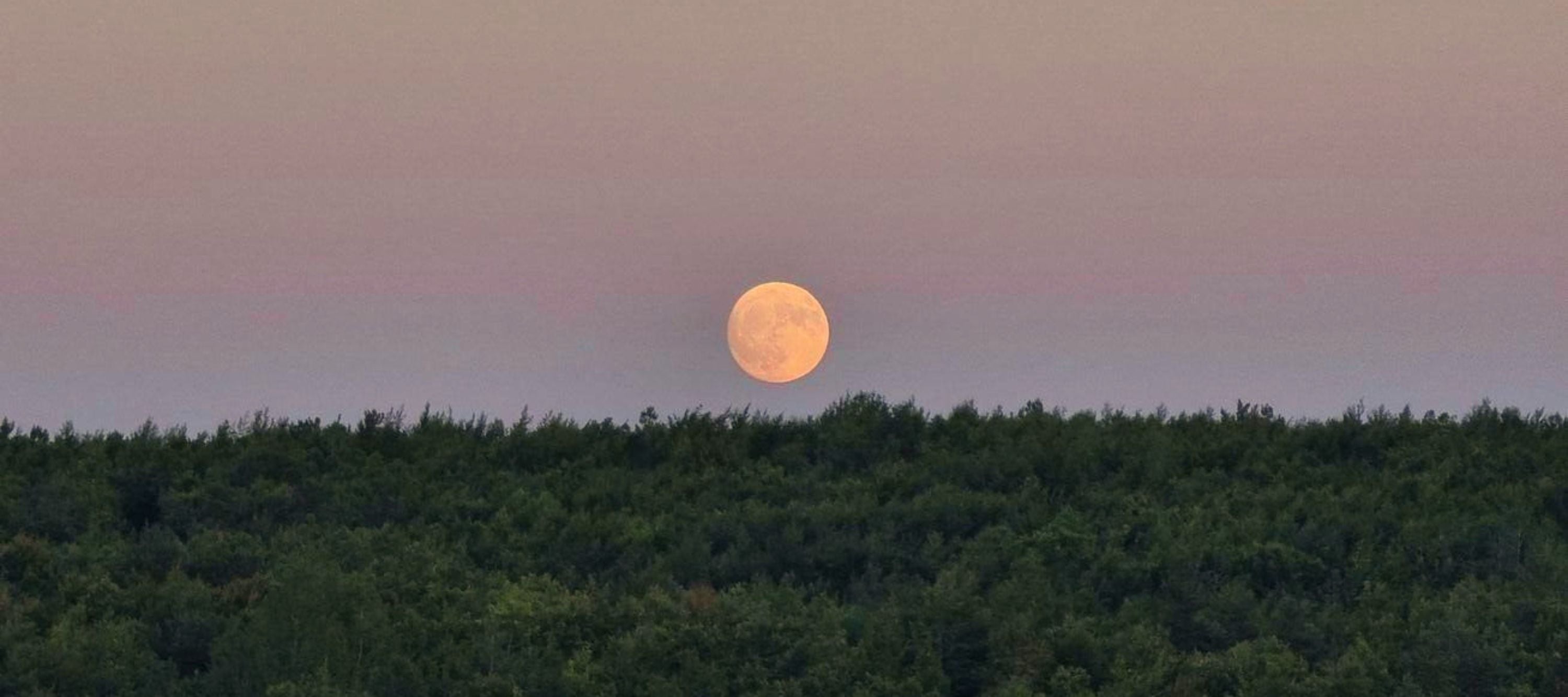 Full Moon in Aries: Oracle Card Readings and Rituals